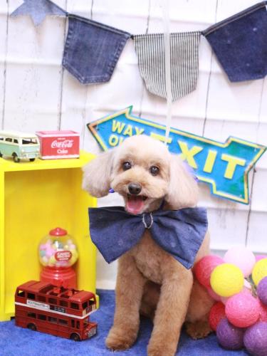 20230425うたちゃん